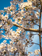 Example Photography